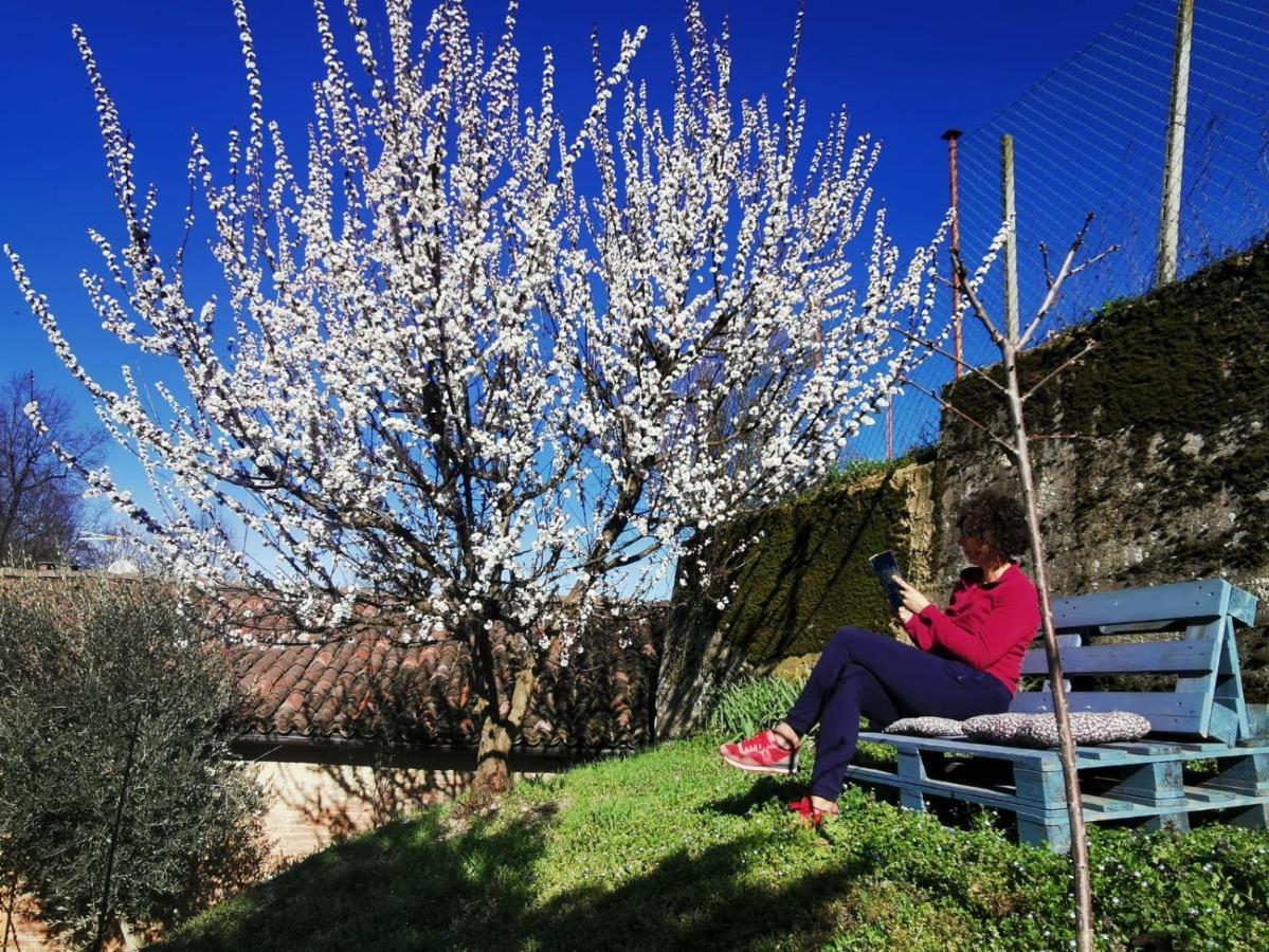 Casa Graziella- Appartamenti Vacanze Portacomaro Экстерьер фото